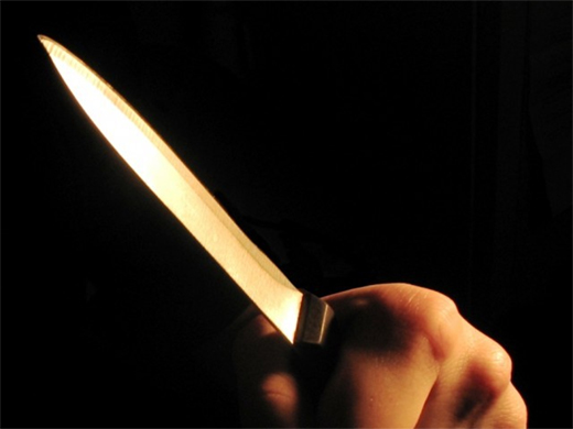 Stab case